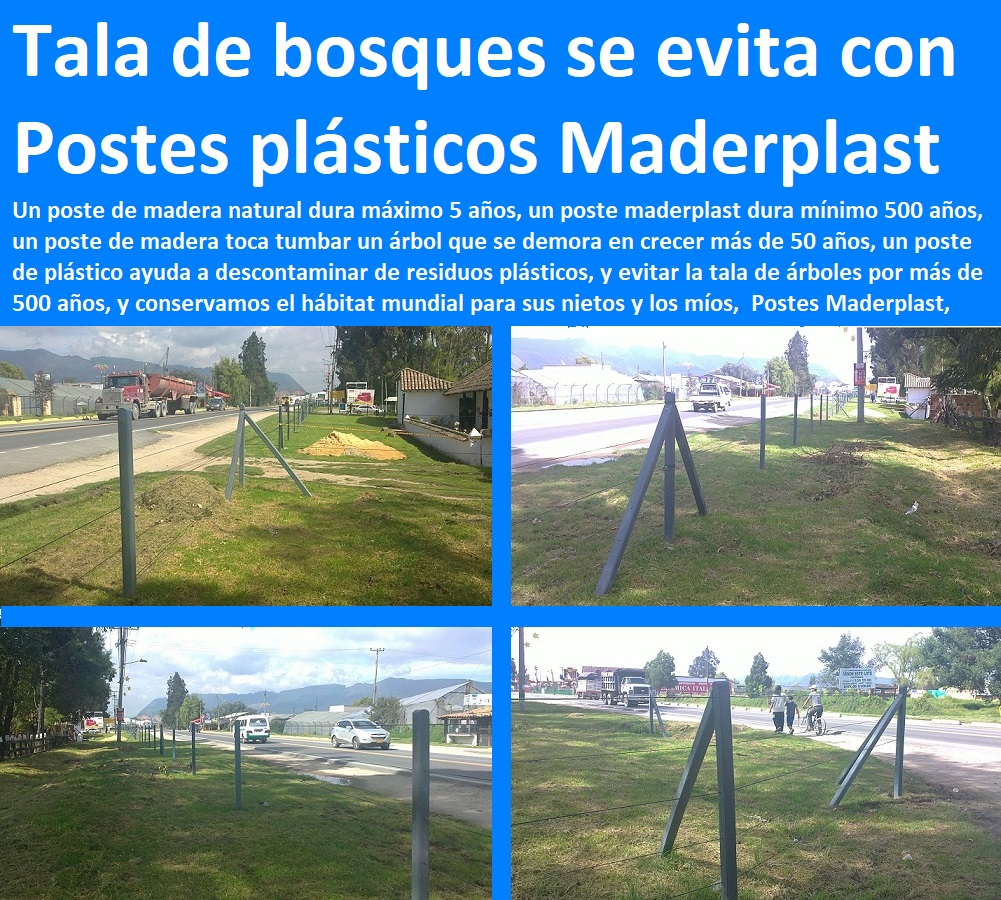 Postes plásticos Maderplast como se instala cerca eléctrica como instalar cerco electrico 0 postes plásticos cali 0 postes de cercas muy durables muy resistentes Maderplast tala de bosques se evita usando los postes Postes plásticos Maderplast como se instala cerca eléctrica como instalar cerco electrico 0 postes plásticos cali 0 postes de cercas muy durables muy resistentes Maderplast tala de bosques se evita usando los postes